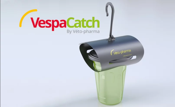 Vespa Catch - aktive Falle gegen die asiatische Hornisse - Vespa Velutina