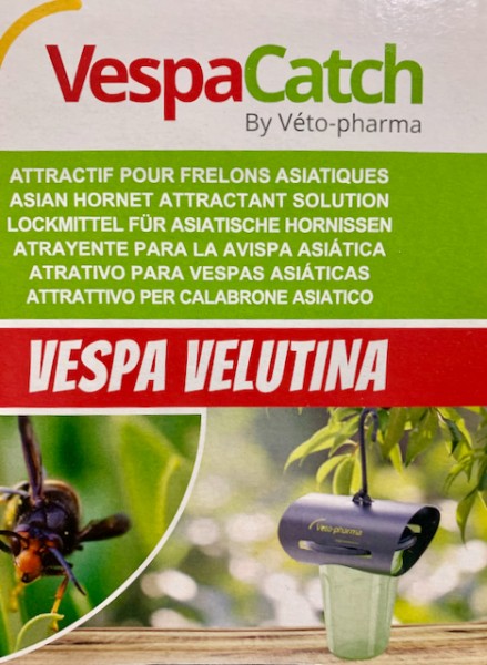 Lockstoff für Vespa Catch - Vespa Velutina Lockstoff