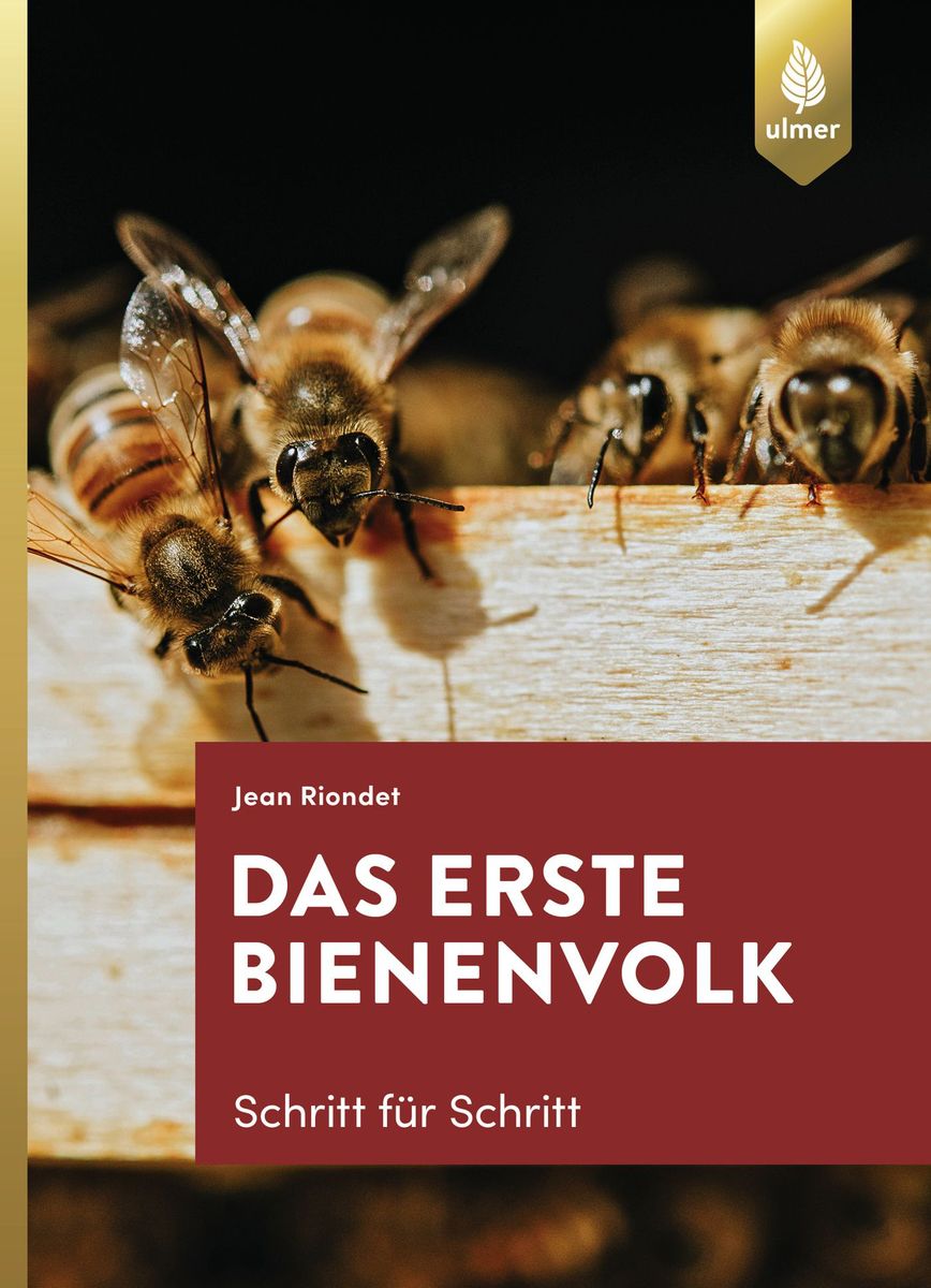 Https Www Das Erste De Https Www Das Erste De