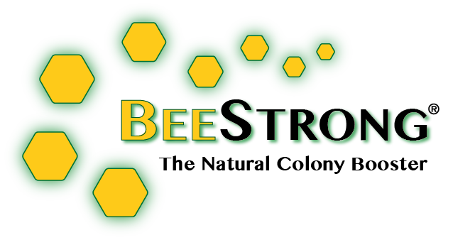 20170509-BBS-Logo-NOBGRD-v01-1